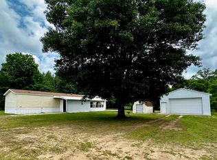 9058 E Loop Rd, Hesperia, MI 49421