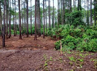 164 Royal Tern Way, Carrabelle, FL 32322