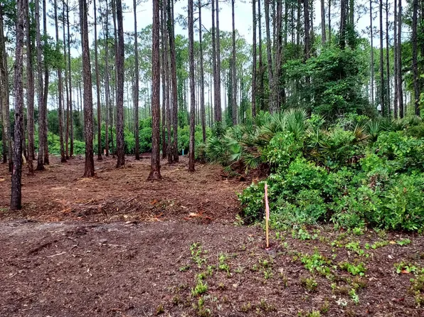 164 Royal Tern Way, Carrabelle, FL 32322