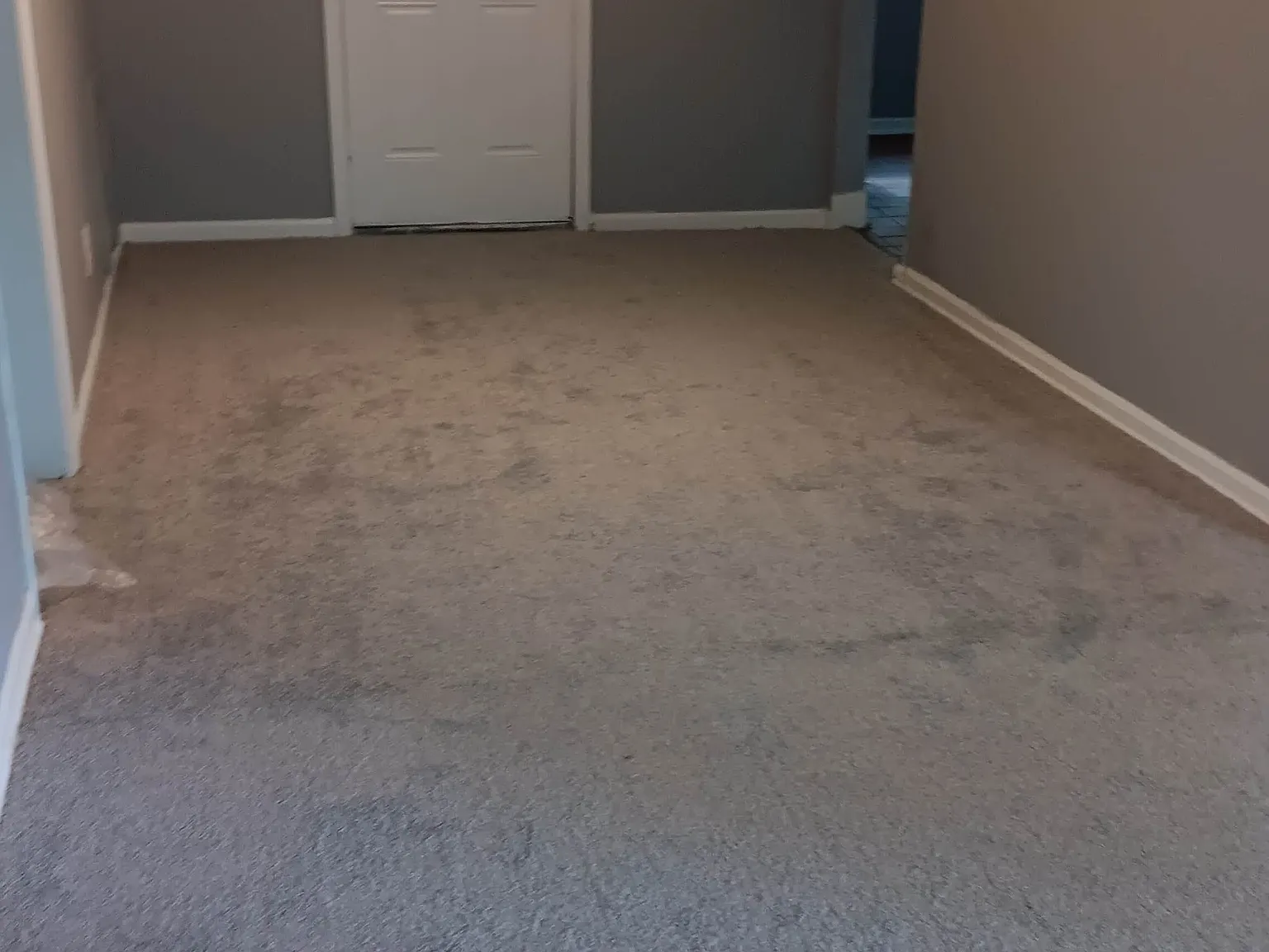 3 bed, 1.5 bath, 1032 sqft, $1,395 — Photo 3