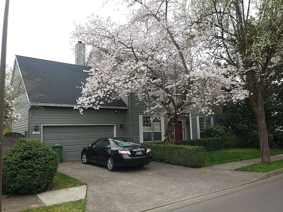 4 2 19 Cherry Tree Bluming