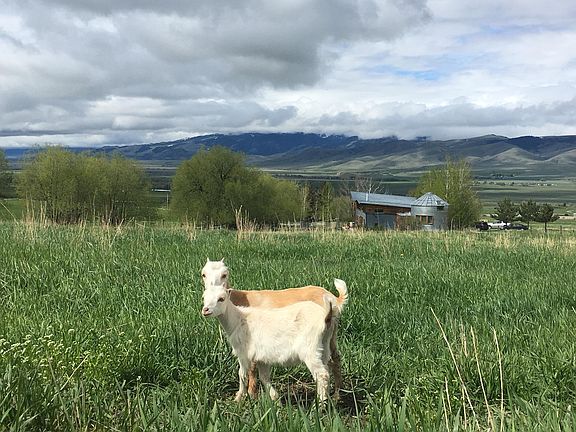 View of house from above.