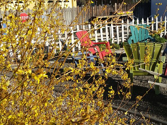 Garden behind fire pit.