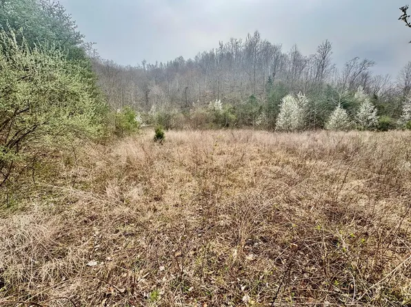 0 Middle Frk, Hagerhill, KY 41222