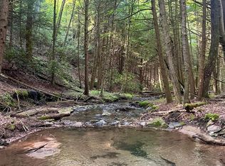 22 Beech Creek Mountain Rd, Beech Creek, PA 16822