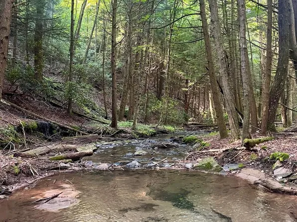 22 Beech Creek Mountain Rd, Beech Creek, PA 16822