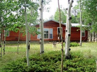 1472 Beaver Creek Dr, Florissant, CO 80816
