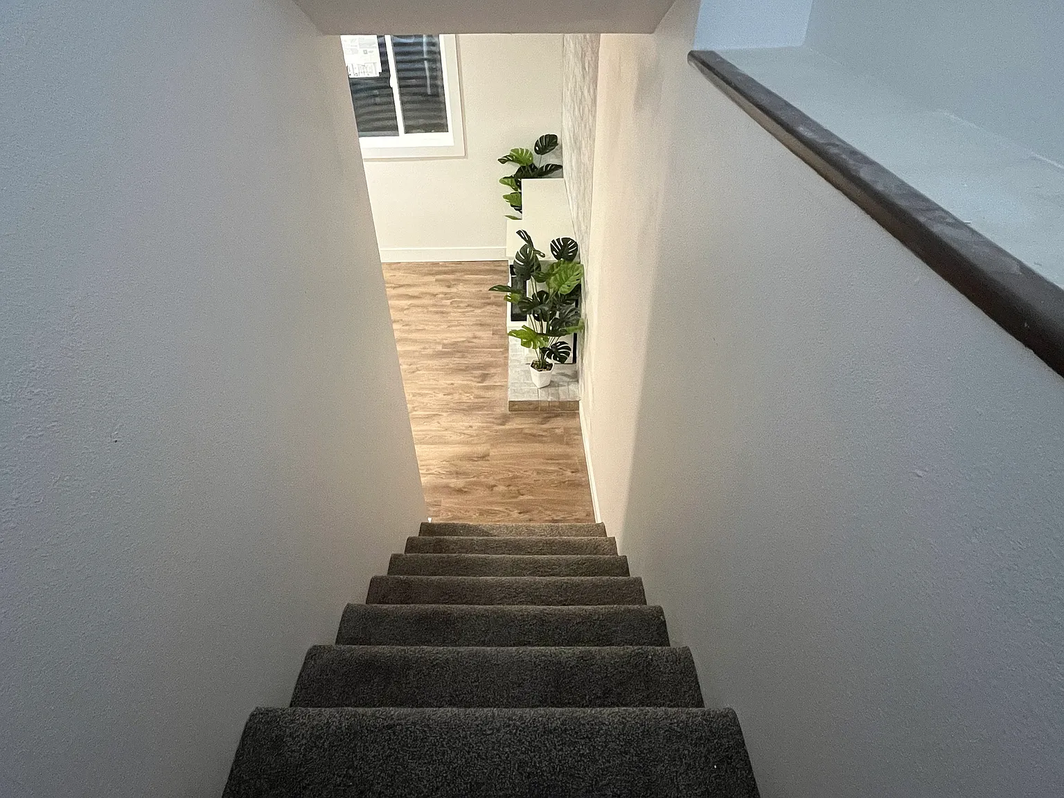 3 bed, 950 sqft, $1,680 — Photo 2
