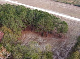 1 Rambling Ln, Cross, SC 29436