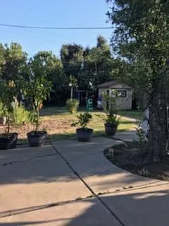 314 W Pearl Ave — Photo 16