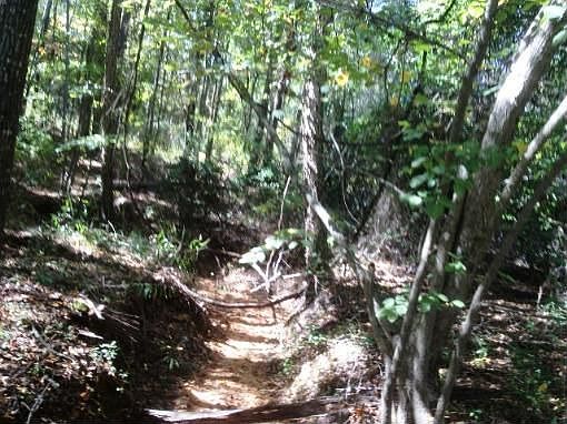 4th image of 4315 County Road 239