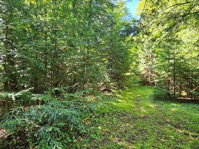 LOT 2 Golf Course Dr, Mercer, WI, 54547