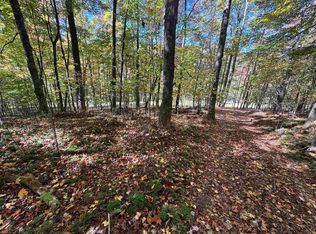 TRACT 3B Isner Run, Elkins, WV 26241