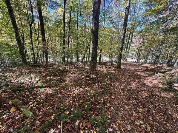 TRACT 3B Isner Run, Elkins, WV 26241