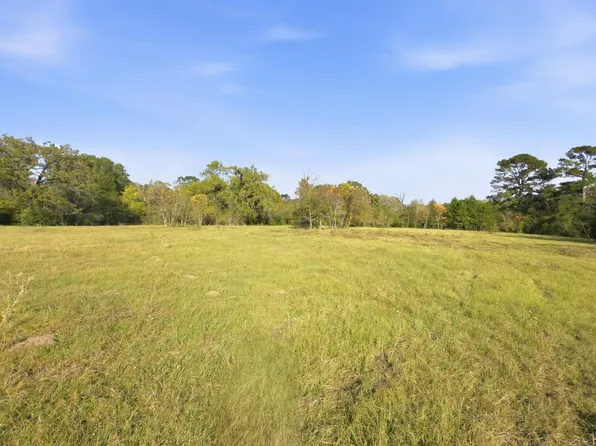 County Road 204, Plantersville, TX 77363