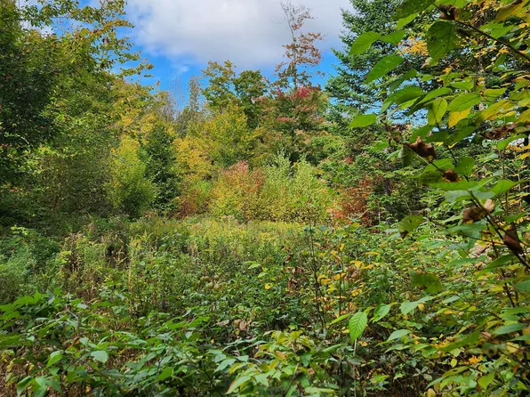 Off Groton North Road #56, Groton, NH 03241