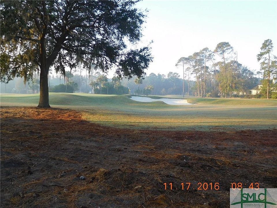 2nd image of 8 Sweetfern