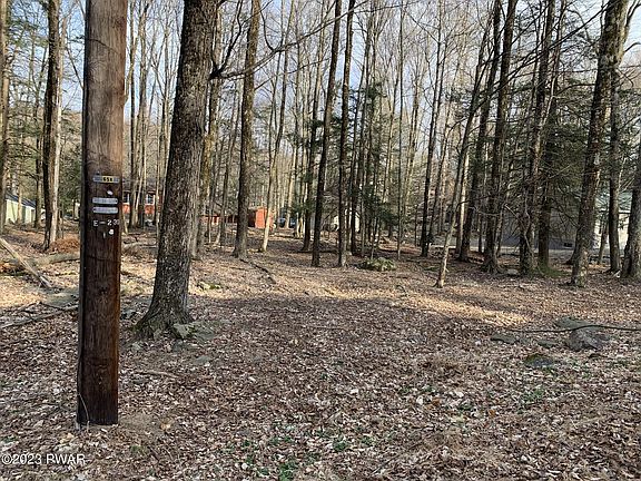 5th image of 10 Hickory Hl