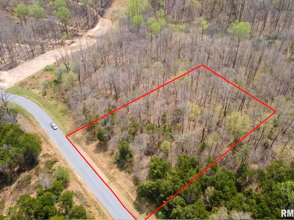 341 & 342 Clifty Ln, Goreville, IL 62939