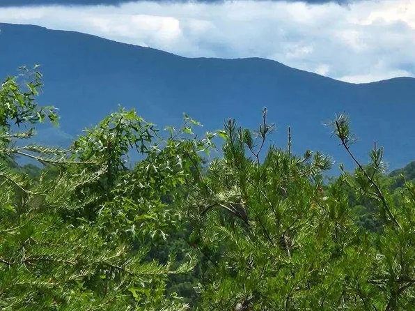 LOT 75 Millers Ridge Way, Sevierville, TN 37862