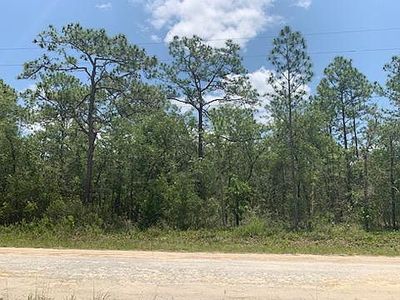 Norway St, Webster, FL, 33597