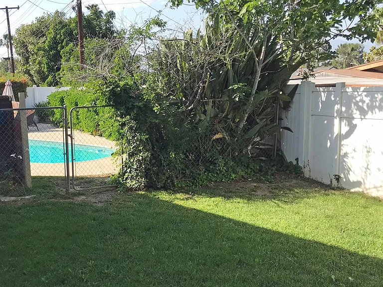Back Yard