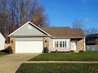 113 Rauscher Ct, Elyria, OH 44035