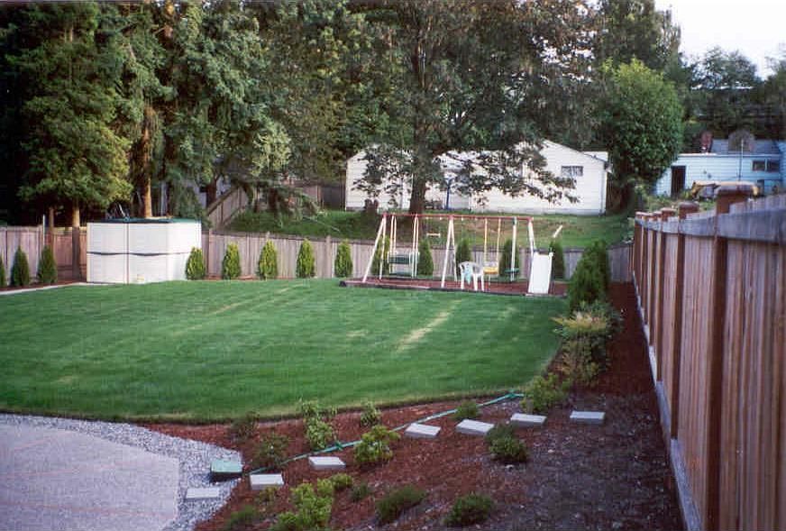 Back Yard
