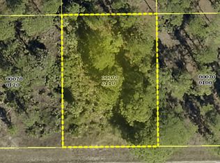 943 Alcalde St E, Lehigh Acres, FL 33974