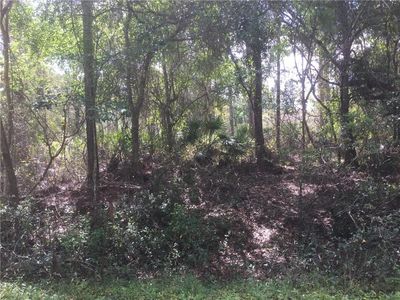 Sw Gator Trail, Arcadia, FL, 34266