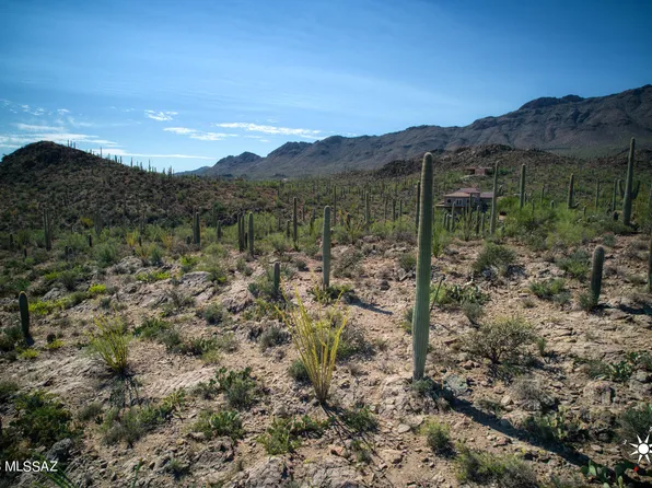 6675 W Wasson Vista Dr, Tucson, AZ 85745