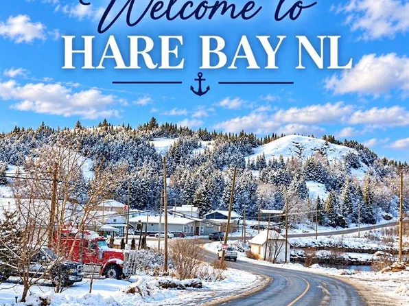 22 Main Street, Hare Bay, NL A0G2P0