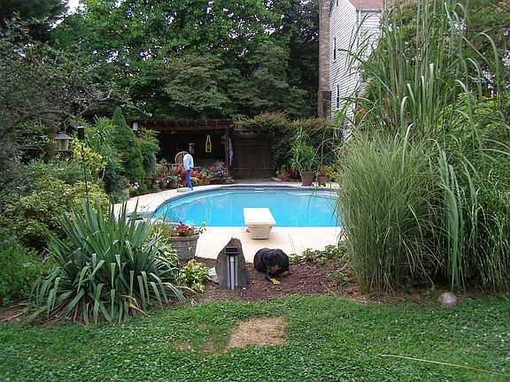 Firepit Area