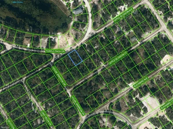 439 Apple Blossom Ave, Lake Placid, FL 33852