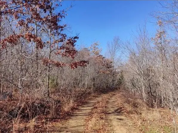 0 County Road 258, Bunker, MO 63629