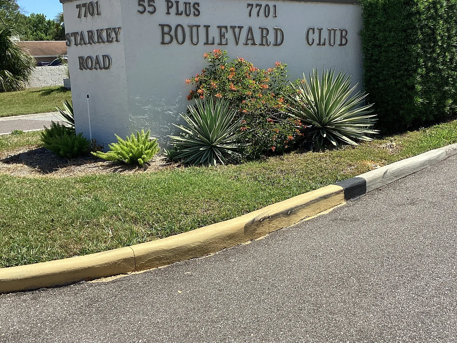 1 bed, 700 sqft, $1,500 — Photo 1