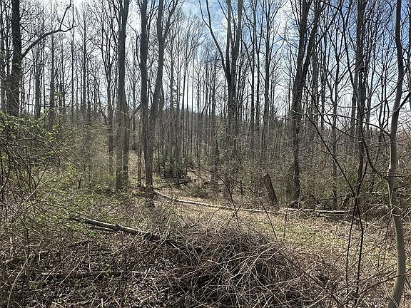 35th image of this home