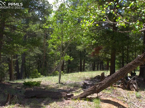 185 Cherry Lake Dr, Divide, CO 80814