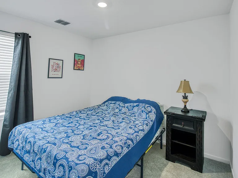 717 Sandhill Crane Ln — Photo 22
