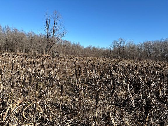 4th image of 0 County Road 409