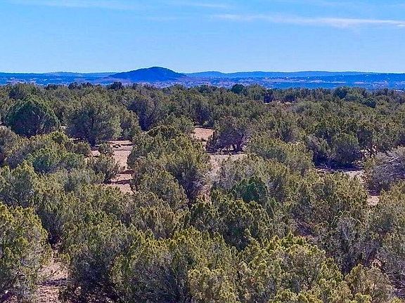 3rd image of 9023 Appaloosa Trl Lot E, 10 Acres -- #-