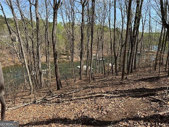 5th image of 0 Bethel Rd