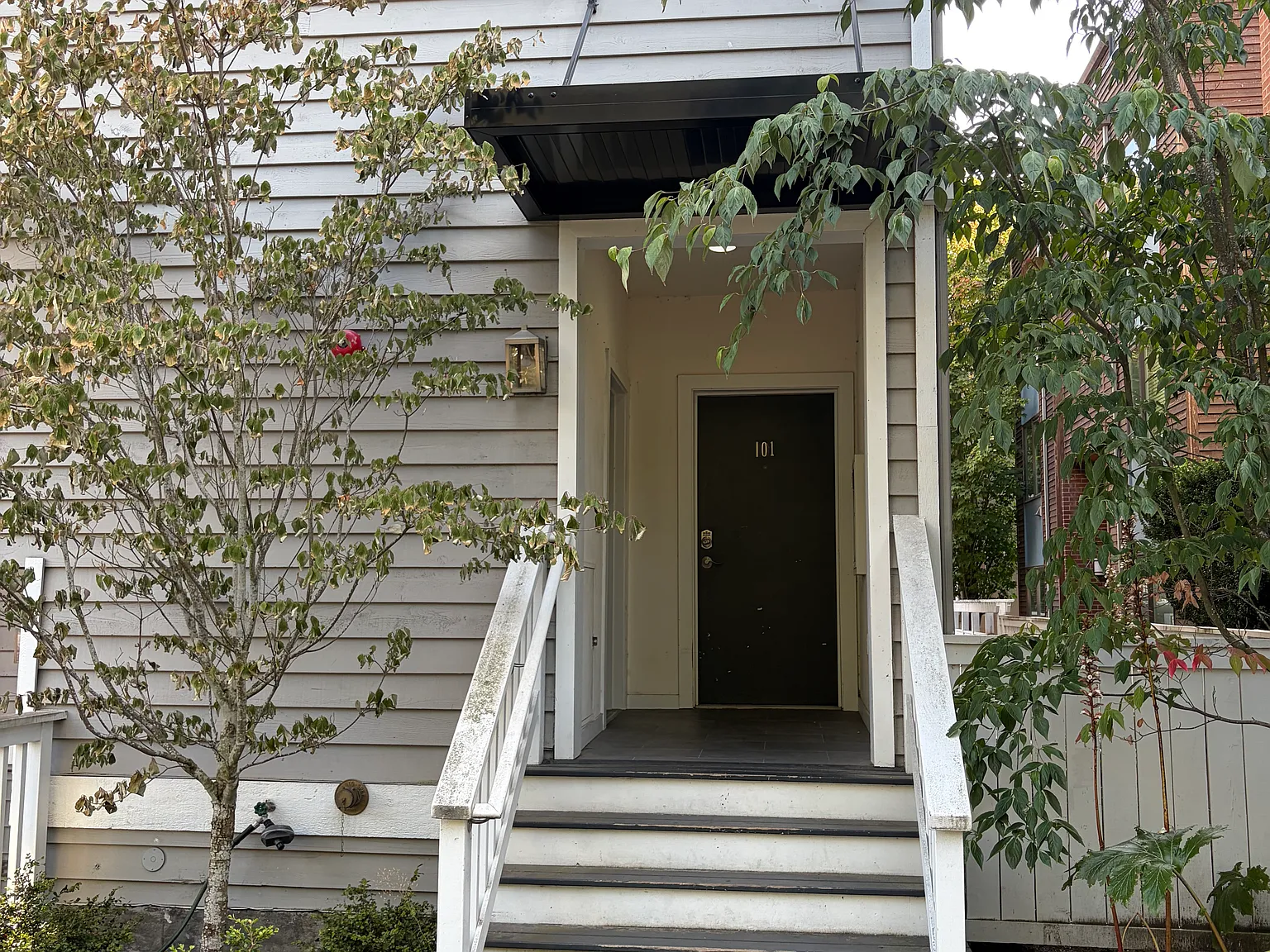 Studio, 237 sqft, $1,395 — Photo 2