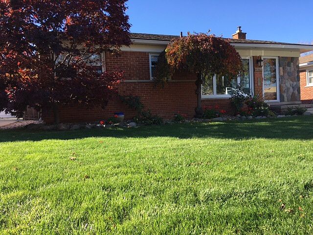 Professionally landscaped
