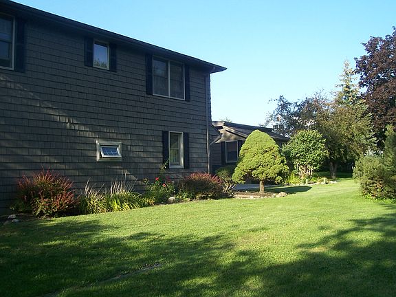 Back View
