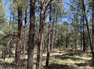 114 Miriam Dr, Ruidoso Downs, NM 88346