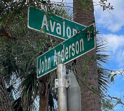 4th image of 151 Avalon Dr