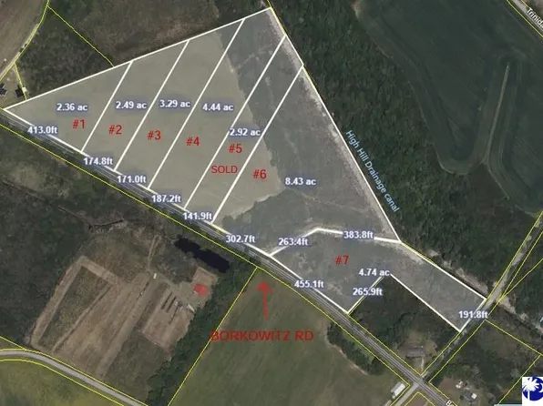 TRACT 6 Borkowitz Rd, Scranton, SC 29591