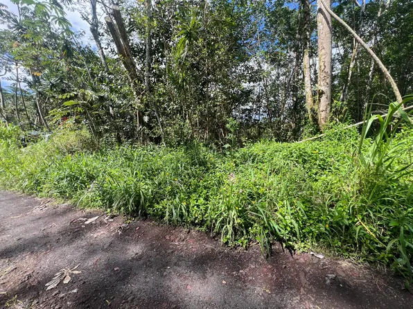 Tiki Rd Lot 17, Kurtistown, HI 96760