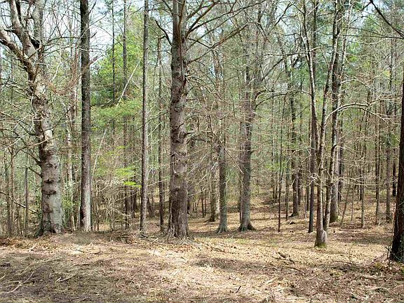 2nd image of 1080 Apalachee Meadows Dr